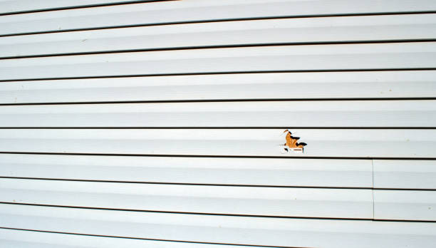 Siding for New Construction in Altadena, CA