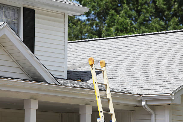 Best Steel Siding Installation  in Altadena, CA